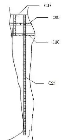 283948612_7_20240522054300879